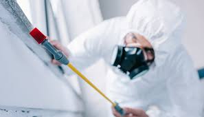 Best Commercial Pest Control  in Camdenton, MO